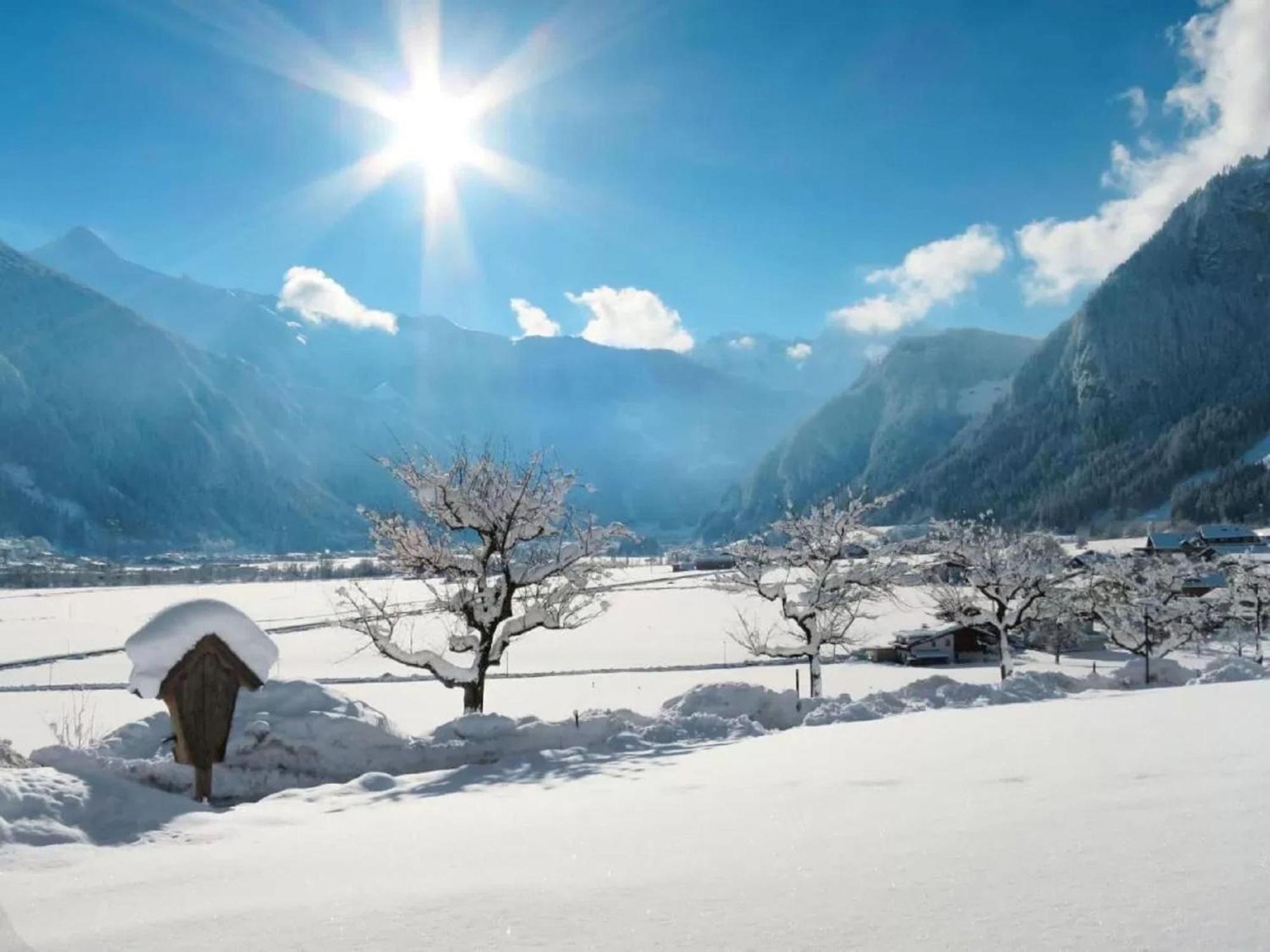 Apartment With Panoramic View Ramsau im Zillertal Dış mekan fotoğraf